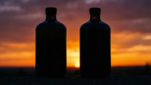 Sunset Silhouettes