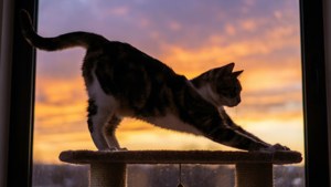 Sunset Stretch