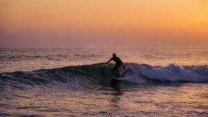 Sunset Surfer Intro