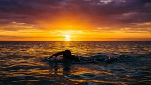 Sunset Swimmer