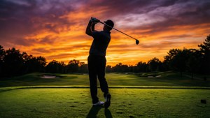 Sunset Swing Silhouette