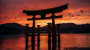 Sunset Torii Gate