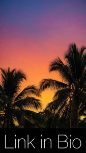 Sunset Tropical Link