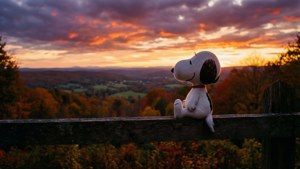 Sunset View