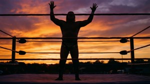 Sunset Warrior