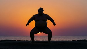 Sunset Warrior