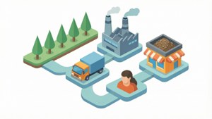Supply Chain Flow