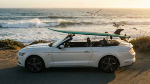 Surf's Up