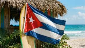 Surfboard Flag