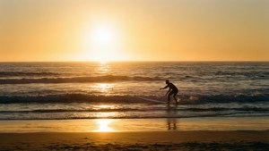 Surfer Sunset Silhouette