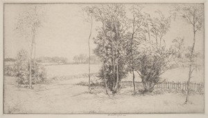 Sussex Landscape