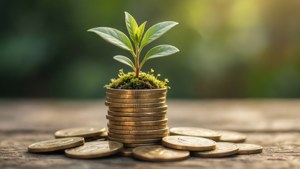 Sustainable Investment Growth