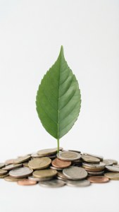 Sustainable Leaf Coin