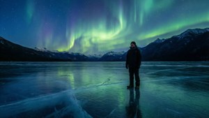 Sven by Frozen Lake Aurora