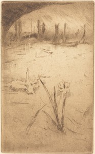 Swan and Iris