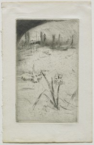 Swan and Iris