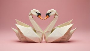 Swans Heart Duo
