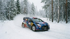 Swedish Snow