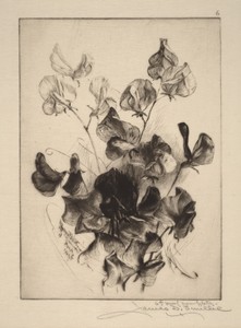 Sweet Peas