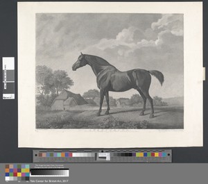 Sweetbrier