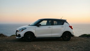 Swift by the Sea