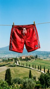 Swim Trunks on the Line