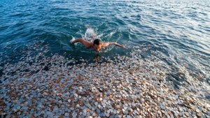Swimming in Coins