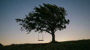 Swing of Memories