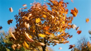 Swirling Autumn Leaves