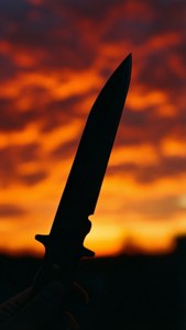 Switchblade Silhouette Sunset