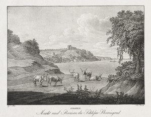 Syrmien, Markt und Ruinen des Schlosses Sharengrad