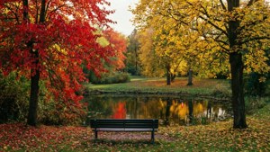 Tønsberg Autumn Park