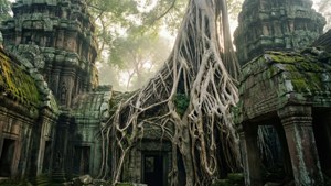 Ta Prohm's Tree Roots