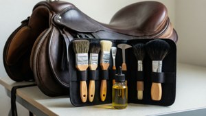 Tack and Grooming Kit