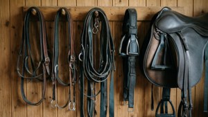 Tack Collection Wall