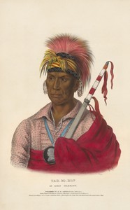 Tah-ro-hon - An Ioway Warrior