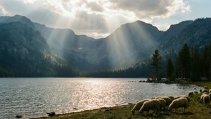 Tahoe Countryside Morning