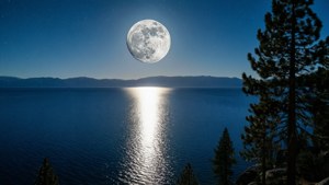 Tahoe Moonlit Night