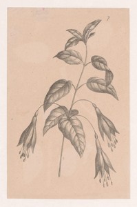 Tak met bloemen