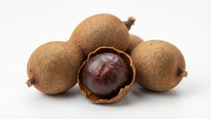 Tamarind White Background