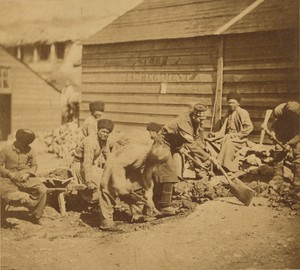 Tartar Labourers.