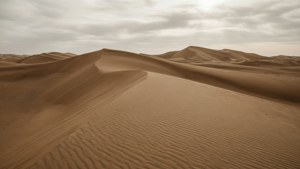 Taupe Desert Dunes