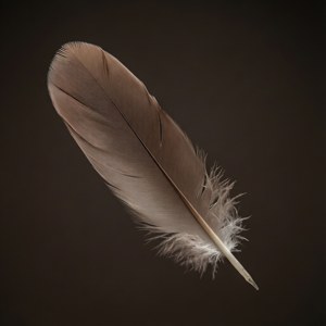 Taupe Feather Floating