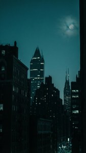 Teal City Night