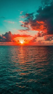 Teal Coral Sunset