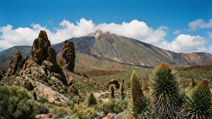 Teide Volcano Landscape