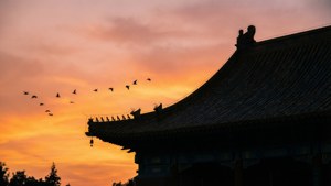 Temple Roof Sunset