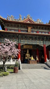 Temple Serenity
