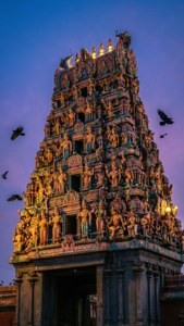 Temple Twilight