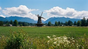Terra Nova Rural Park